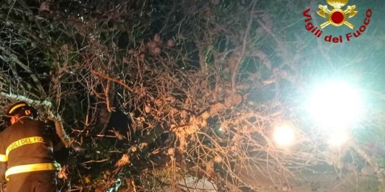 Vento forte in Gallura: interventi dei vigili del fuoco a Caprera, La Maddalena e Santa Teresa Gallura