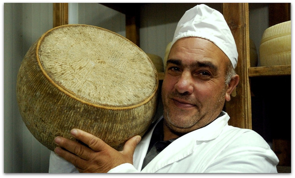 Gli associati Cia in Sardegna trionfano all’Italian Cheese Awards