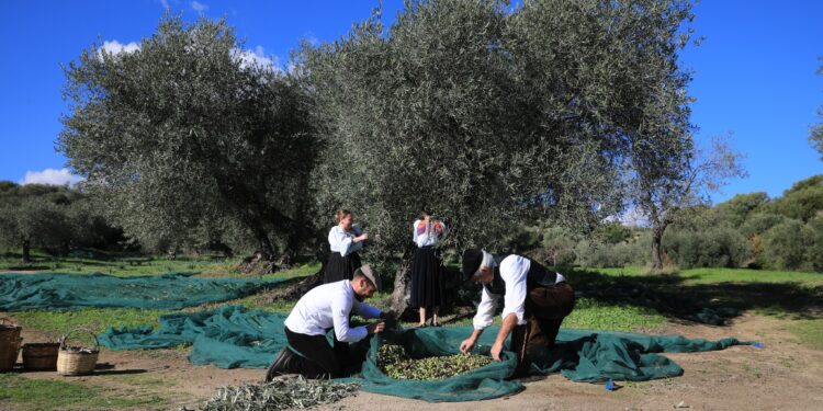 I produttori di vino e olio del Gal Barbagia a Roma l’11 novembre