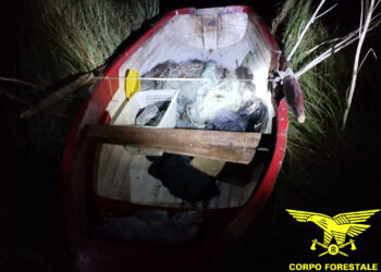 Gli agenti della Base Logistica Operativa Navale di Oristano hanno sequestrato diversi kg di pesce misto e un grande quantitativo di reti da pesca