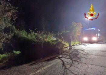 Maltempo nella provincia di Oristano, oltre venti gli interventi dei vigili del fuoco