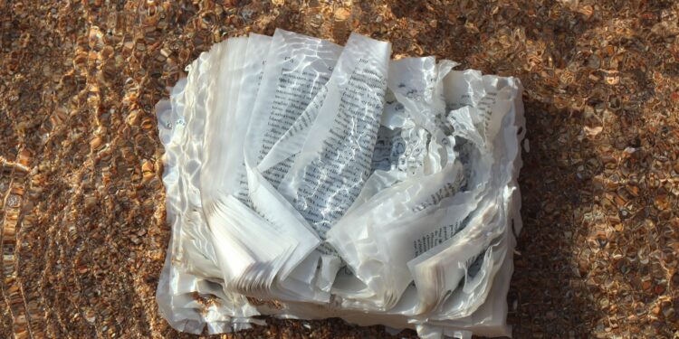 Sarà inaugurata giovedì 5 dicembre, a Cagliari, la mostra Book As Art