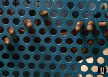 Sabato 14 dicembre, ad Ales, verrà presentato il concorso di pittura “Gramsci visto da dietro le sbarre” premio “Peppinetto Boy”