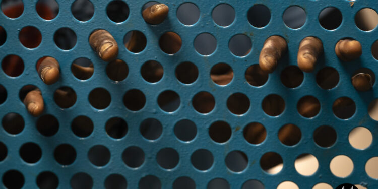 Sabato 14 dicembre, ad Ales, verrà presentato il concorso di pittura “Gramsci visto da dietro le sbarre” premio “Peppinetto Boy”