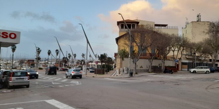 Il comune di Alghero incontra gli operatori del primo pescato
