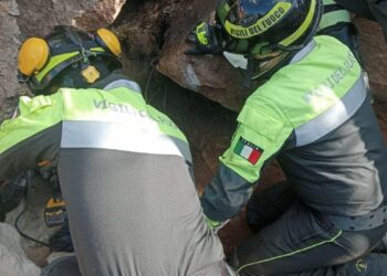 A Ballao è in corso il recupero da parte dei vigili del fuoco di un cane da caccia caduto nella fenditura di una roccia