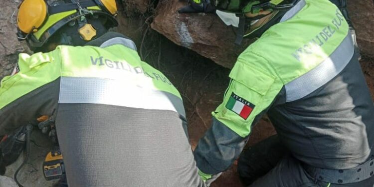 A Ballao è in corso il recupero da parte dei vigili del fuoco di un cane da caccia caduto nella fenditura di una roccia