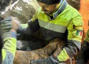 Ballao: recuperato il cane caduto nella fenditura di una roccia