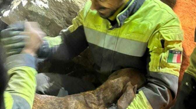 Ballao: recuperato il cane caduto nella fenditura di una roccia