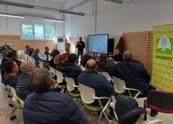 Prato Sardo: il futuro del bovino sardo parte dal Nuorese