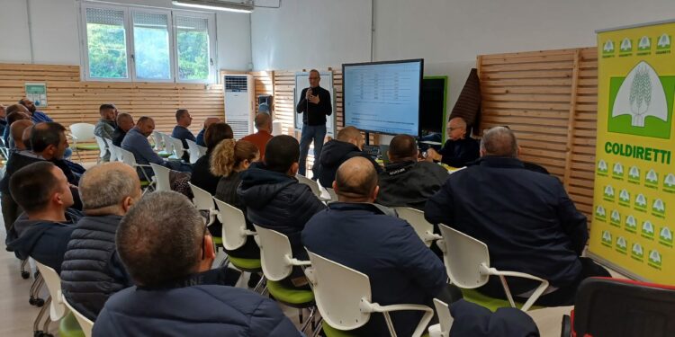 Prato Sardo: il futuro del bovino sardo parte dal Nuorese