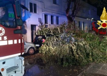Alghero: cede un grasso ramo in via Sassari, intervengono i vigili del fuoco