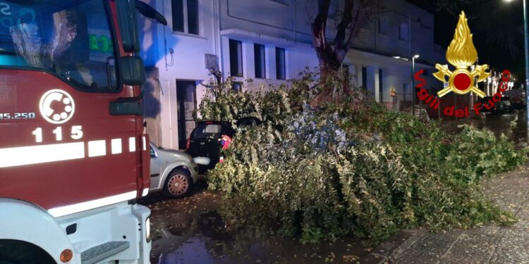 Alghero: cede un grasso ramo in via Sassari, intervengono i vigili del fuoco