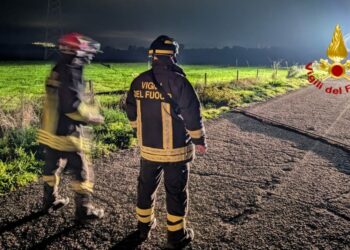 Cade un cavo dell’alta tensione sulla 131 Dcn in direzione Nuoro