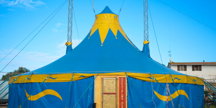 Guglielmo Hotel: il circo contemporaneo arriva a Sassari, fino al 6 gennaio al Theatre en vol lo spettacolo senza animali