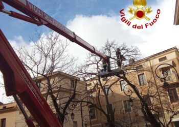 Maltempo nel Nuorese: nuovi interventi dei vigili del fuoco