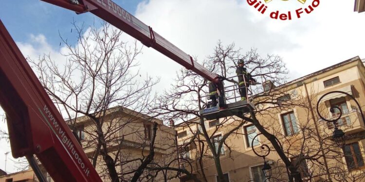 Maltempo nel Nuorese: nuovi interventi dei vigili del fuoco