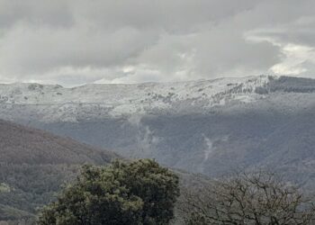 Emergenza idrica in Sardegna, la Regione prende posizione