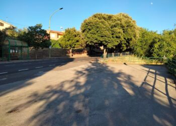 Mara in festa per Sant’Antoni de su fogu