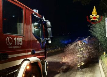 Sono circa 140 le richieste di soccorso arrivate alle Sale Operative dei comandi dei vigili del fuoco della regione Sardegna, dalle 8.00 di questa mattina, legate al maltempo