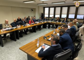 In commissione Sanità l’assessore Armando Bartolazzi ha illustrato la riforma