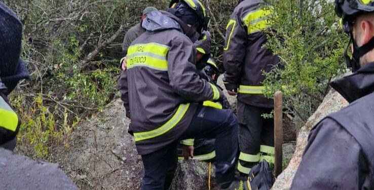Berchidda: salvato un cane incastrato tra i blocchi di granito di una cava