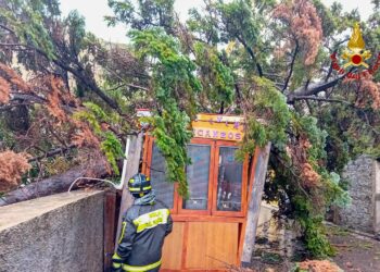 Emergenza maltempo nel Nuorese, interventi dei vigili del fuoco
