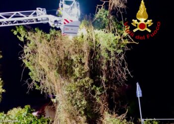 Sinnai: rimosso un cipresso pericolante sull’ex statale 125