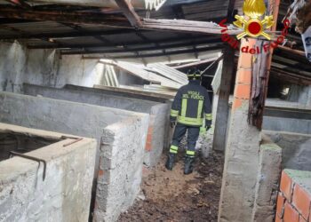 Danni dal maltempo a Lanusei