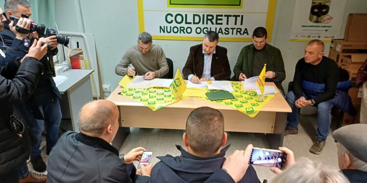 Nuoro: un contratto di filiera per la razza bovina Sardo Bruna