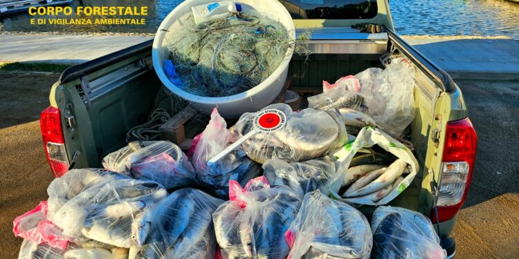 Il personale della stazione forestale e della base navale di Cagliari ha condotto un’operazione di contrasto al bracconaggio ittico nel canale di Terramaini-Mammarranca