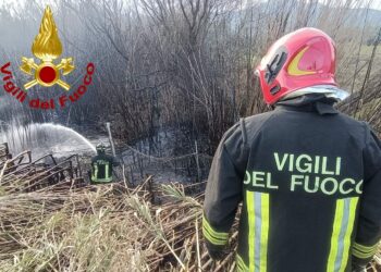 Arzachena: a fuoco un canneto sulla provinciale 59