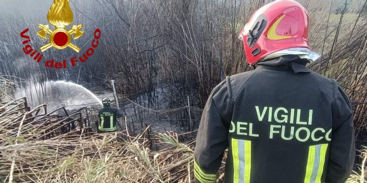 Arzachena: a fuoco un canneto sulla provinciale 59