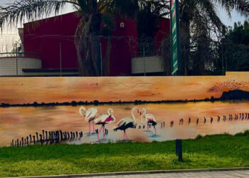 Quartu Sant’Elena: un murale dedicato al Parco di Molentargius