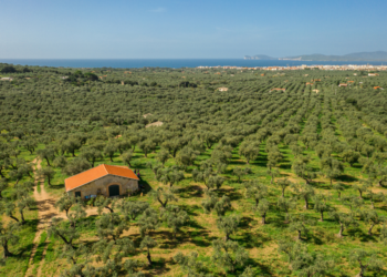 I fratelli Fois di Accademia Olearia nella copertina delle eccellenze di Forbes