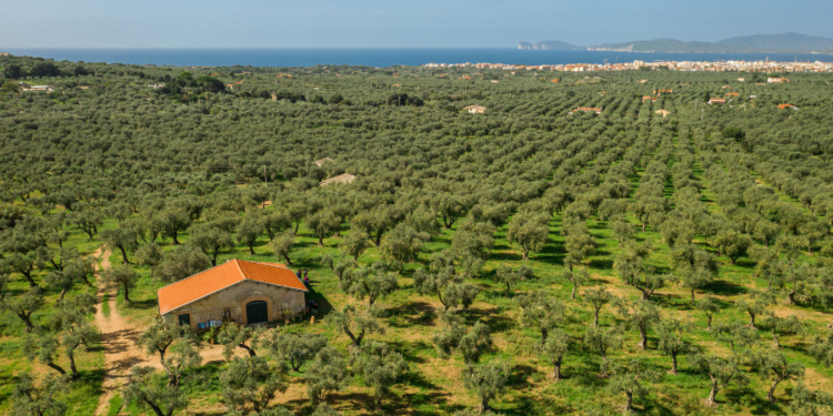 I fratelli Fois di Accademia Olearia nella copertina delle eccellenze di Forbes