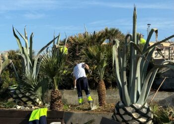 Alghero: interventi di manutenzione nel colle del Trò e in viale Primo Maggio