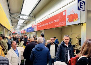 Cagliari apre il mercato provvisorio di piazza Nazzari