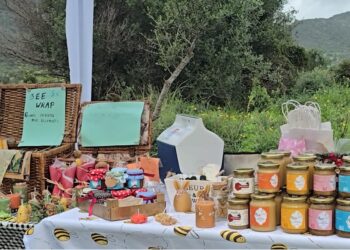 Tortolì: presentato il paniere Blu Food Ogliastra