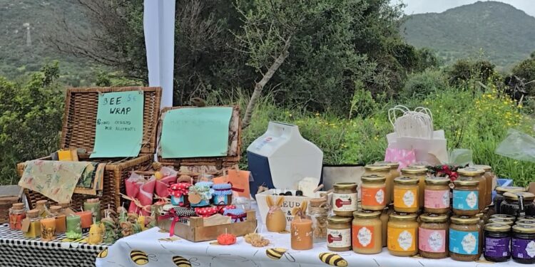 Tortolì: presentato il paniere Blu Food Ogliastra