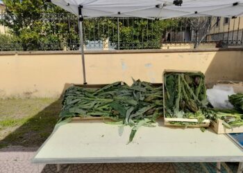 Uri: il programma della Sagra del Carciofo