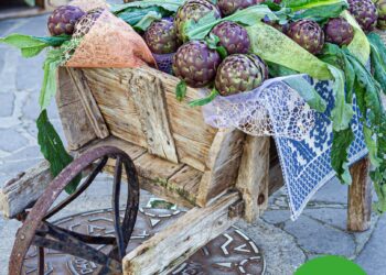 Samassi, anteprima della 35ª sagra del carciofo