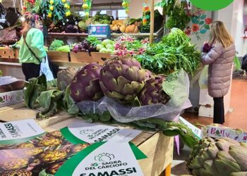 A Samassi, per la 35ª Sagra del carciofo, domani si terrà una tavola rotonda con la presentazione del docufilm “Il violetto di Samassi”