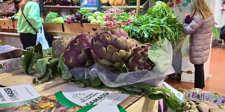 A Samassi, per la 35ª Sagra del carciofo, domani si terrà una tavola rotonda con la presentazione del docufilm “Il violetto di Samassi”