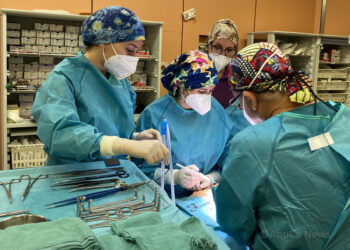 L’Aou di Cagliari in prima linea per la ricerca sulla pancreatite