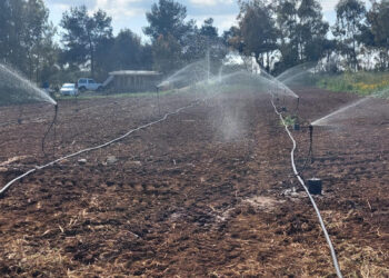 Tore Piana (Centro Studi Agricoli): «Serve un cambio di passo sulla gestione dell’acqua: la Regione intervenga subito a rischio migliaia di ettari di colture»
