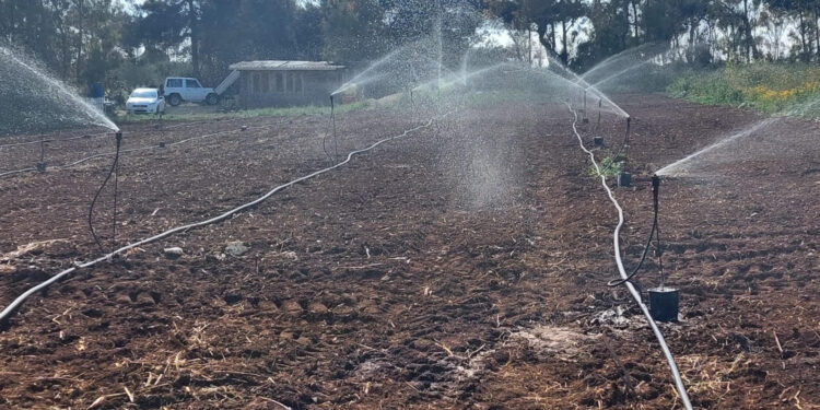 Tore Piana (Centro Studi Agricoli): «Serve un cambio di passo sulla gestione dell’acqua: la Regione intervenga subito a rischio migliaia di ettari di colture»