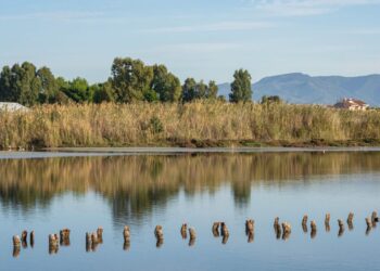 La Giunta regionale ha approvato le misure di conservazione per 89 zone speciali di conservazione (ZSC) e 4 siti di interesse comunitario (SIC) della Rete Natura 2000