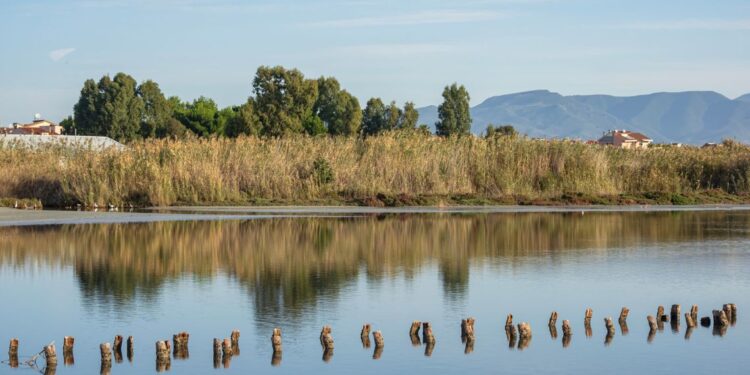 La Giunta regionale ha approvato le misure di conservazione per 89 zone speciali di conservazione (ZSC) e 4 siti di interesse comunitario (SIC) della Rete Natura 2000