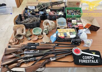 Maxi operazione del Corpo forestale a Pula, Sarroch e Villa San Pietro: sequestri e un arresto per droga, armi e bracconaggio